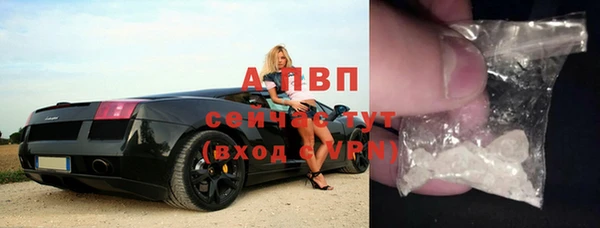 прущие грибы Бугульма