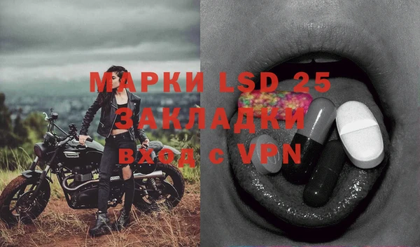 индика Верхнеуральск