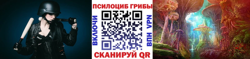 как найти закладки  Грязи  Галлюциногенные грибы Psilocybine cubensis 